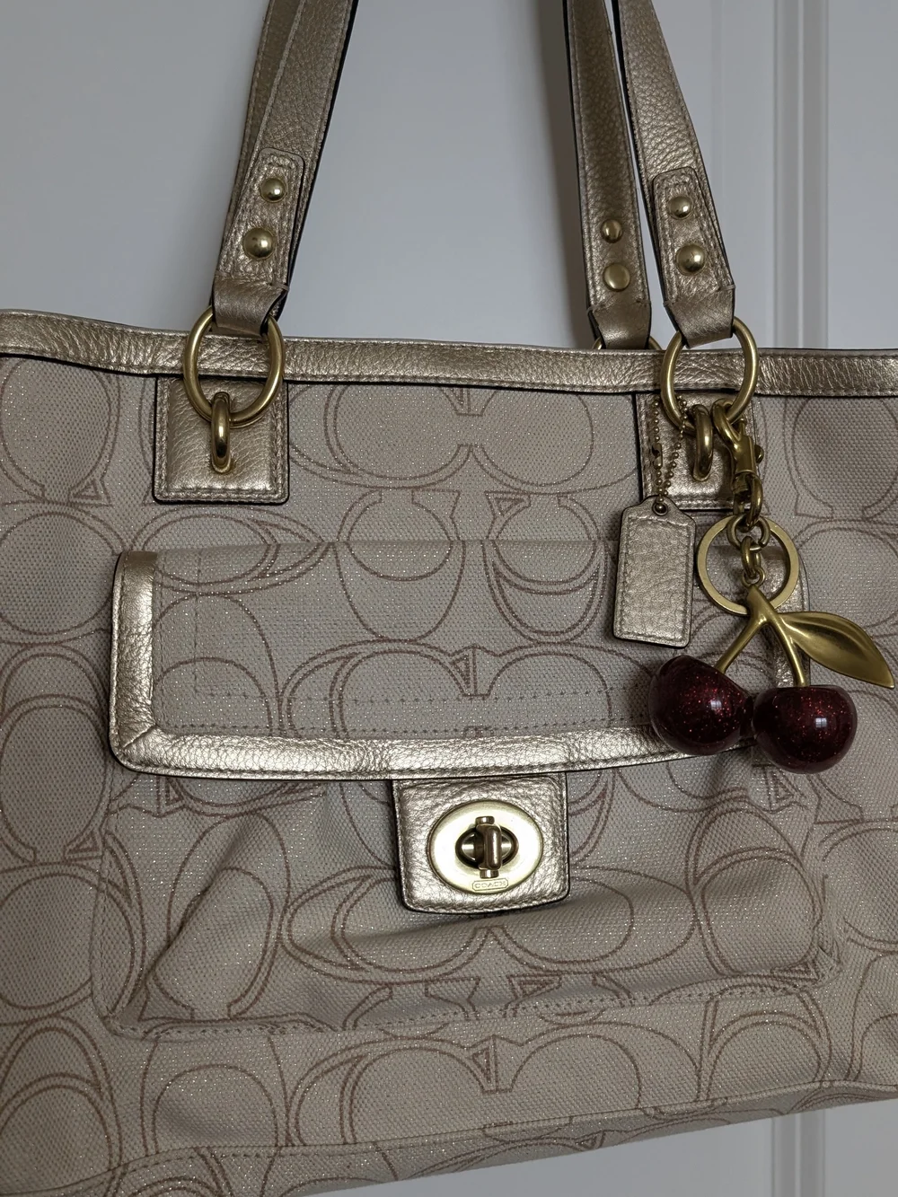 Coach Penelope Signature Carry-All